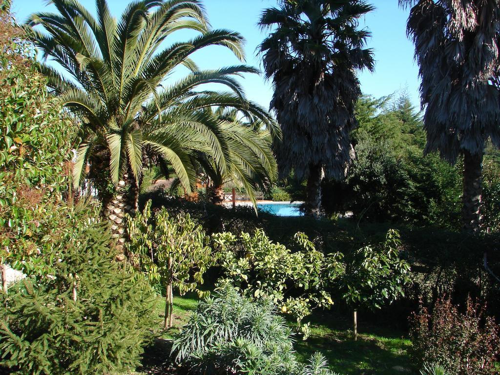 Quinta Verde Sintra - Casa De Campo Exterior photo